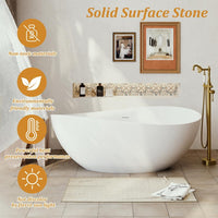 63 in Stone Resin Flatbottom Solid Surface Freestanding Roll Top Soaking Bathtub in White with Brass Drain