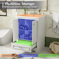 VanityFus 24.2-in White Bathroom Vanity Single Sink Combo with Ceramic Top Undermount 2 Soft Close Doors 1 Drawer Adjustable Shelves
