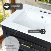VanityFus 24-in Black Single Sink Bathroom Vanity with Ceramic Top Undermount 2 Soft-Closing Doors 1 Drawer Adjustable Shelves
