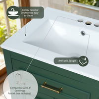 VanityFus 24-in Green Single Sink Bathroom Vanity with Ceramic Top Undermount 2 Soft-Closing Doors 1 Drawer Adjustable Shelves
