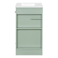 VanityFus 20-in Bathroom Vanity Green Single Sink Combo with Ceramic Top 1 Door 1 Drawer