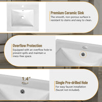 VanityFus Gray 20-in Bathroom Vanity Single Sink Combo Ceramic Top 1 Soft-Close Doors Adjustable shelves