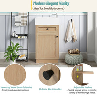 VanityFus 18.5-in Bathroom Vanity Wood Single Sink Combo Resin Top Soft-Close Doors Adjustable Shelves