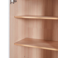 VanityFus White 15.67-in x 23.96-in x 67.57-in Wood Freestanding Soft Close Linen Cabinet adjustable shelves 4 Soft close doors 1 drawers