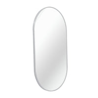 VanityFus 33-in W 20-in H Oval Silver Framed Beveled Bathroom Vanity Mirror Wall Mirror